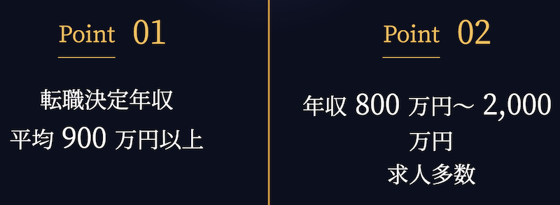 キャリアカーバー