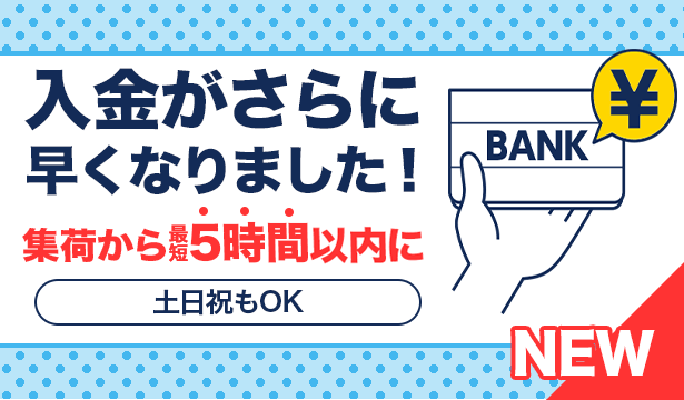ゲオスグの入金